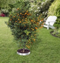 14379 - interlocking steel tree ring (in-situ web)